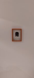 288796940_606430057245580_1915803263066839666_n